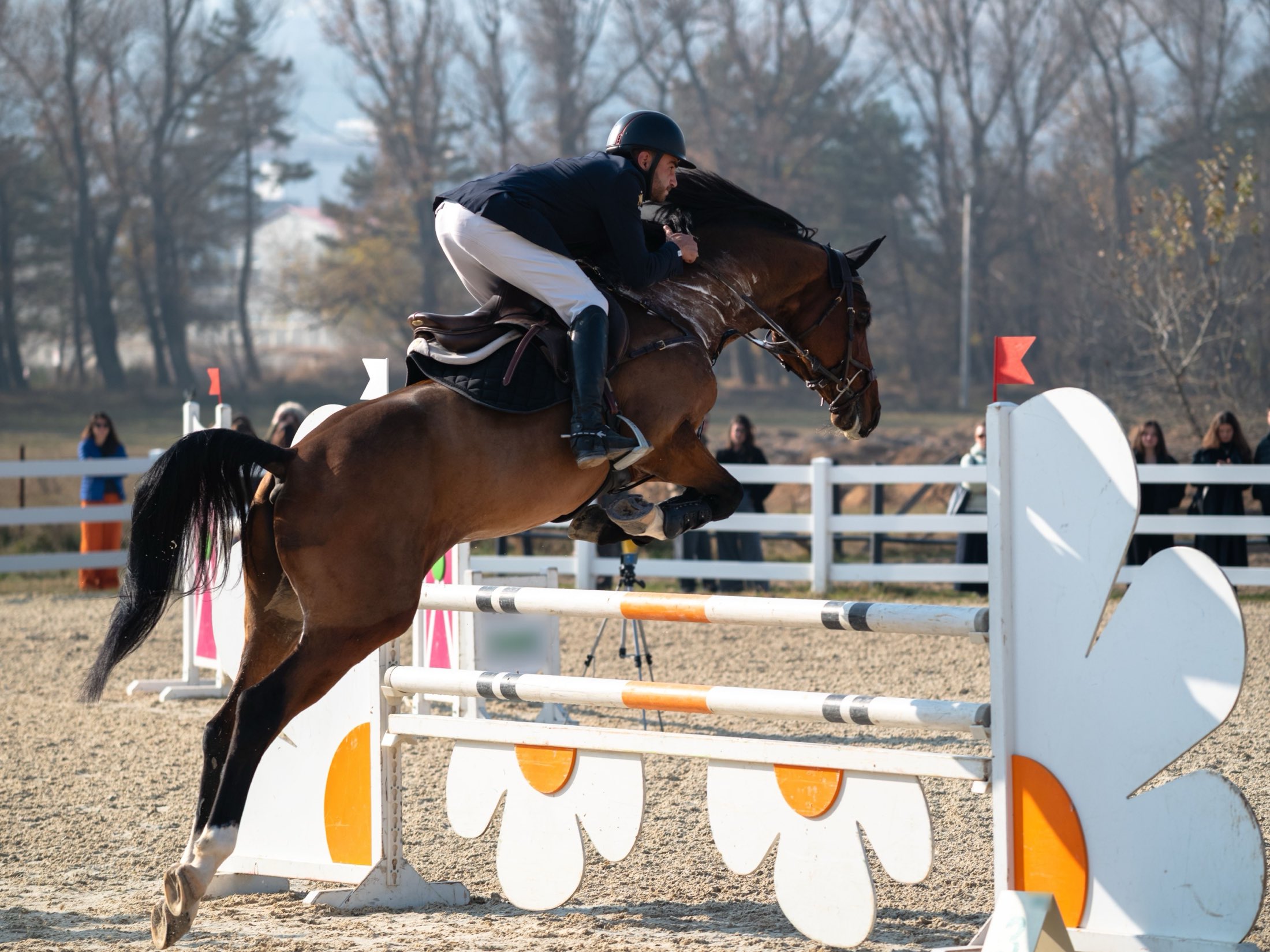 A showjumper clearing a fence