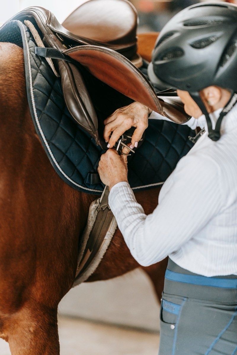 A rider tightening her horse's girth before a round